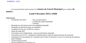 RÉUNION DU CONSEIL MUNICIPAL